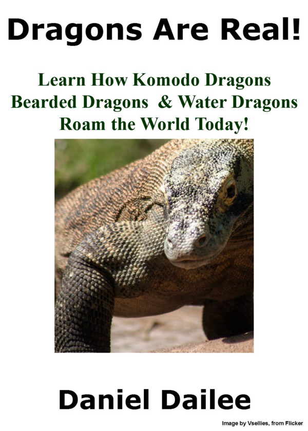 Are Dragons Real?