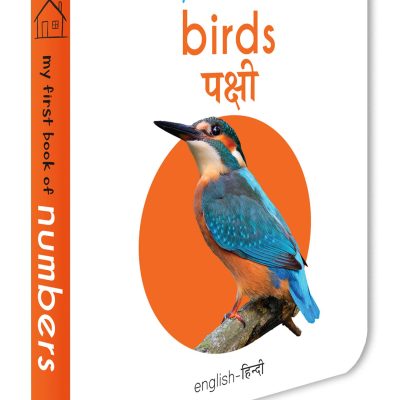My First Book of Birds - Pakshi (English - Hindi): Bilingual Board Books For Children
