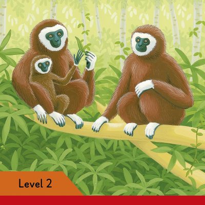 Ladybird Readers Level 2 - Wild Animals (ELT Graded Reader)