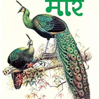 Hamara Rashtriya Pakshi Mor