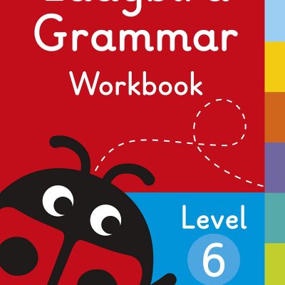Ladybird Grammar Workbook Level 6