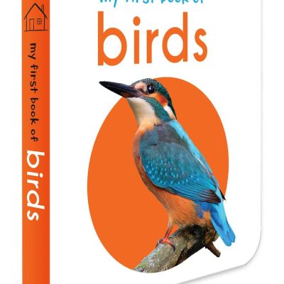 My First Book Of Birds: First Board Book