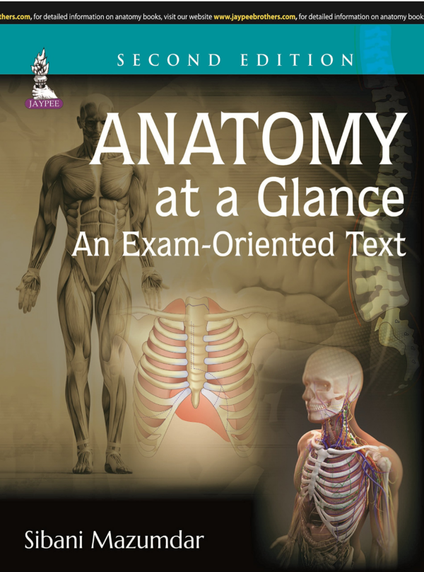 Anatomy at a Glance