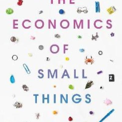 Economics of Small Things