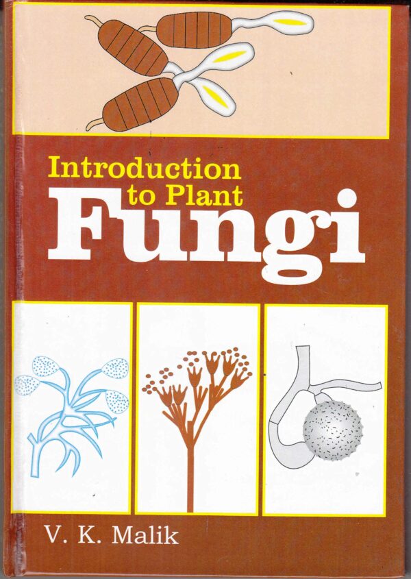 Introduction to plant fungi