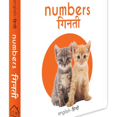 My First Book of Numbers - Ginti (English - Hindi): Bilingual Board Books For Children