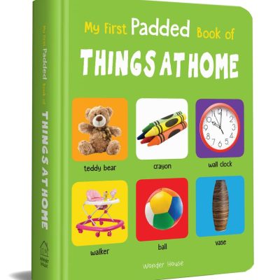My First Book Of Things at Home: First Board Book