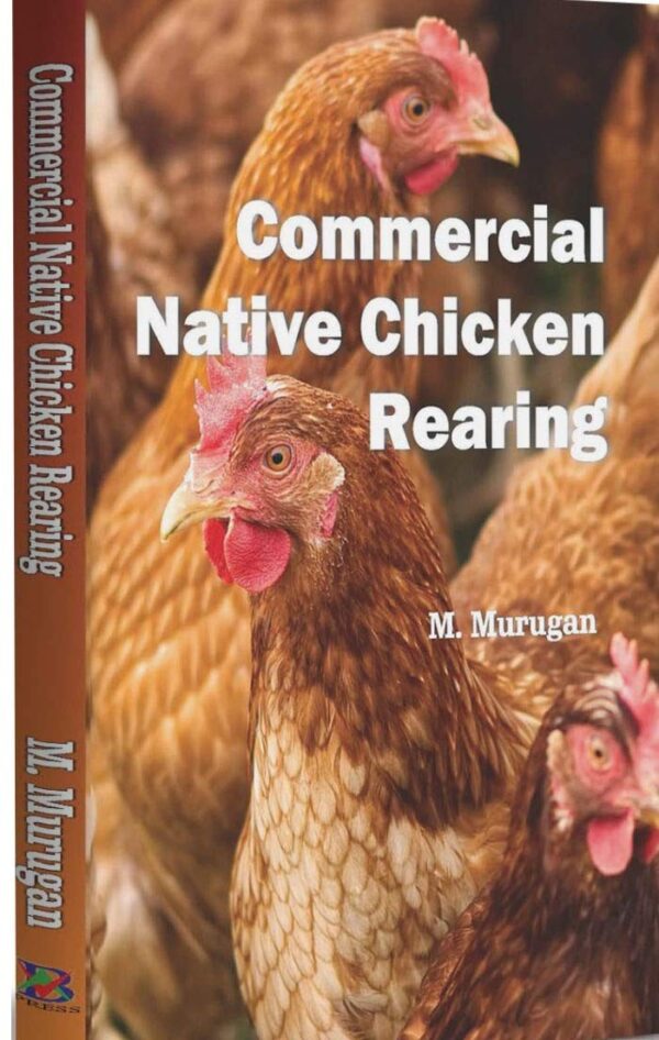 Commercial native chicken rearing