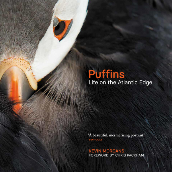 Puffin Lives: 10 Unforgettable Indians and Their Remarkable Stories (Boxset)