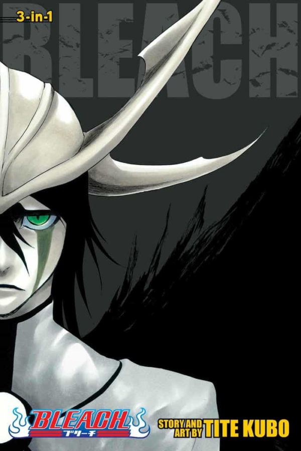 Bleach: 3-In-1 Edition 14