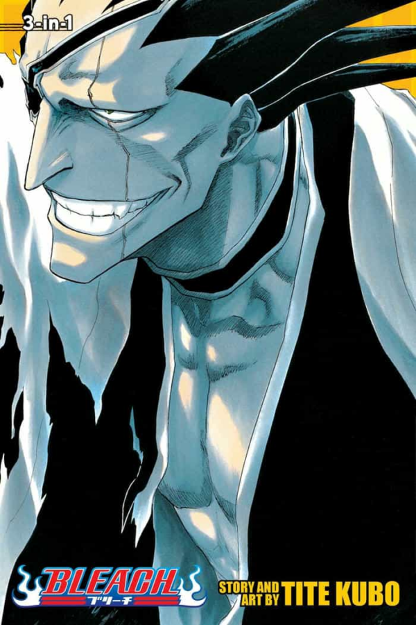 Bleach: 3-In-1 Edition 05