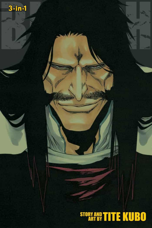 Bleach: 3-In-1 Edition 19