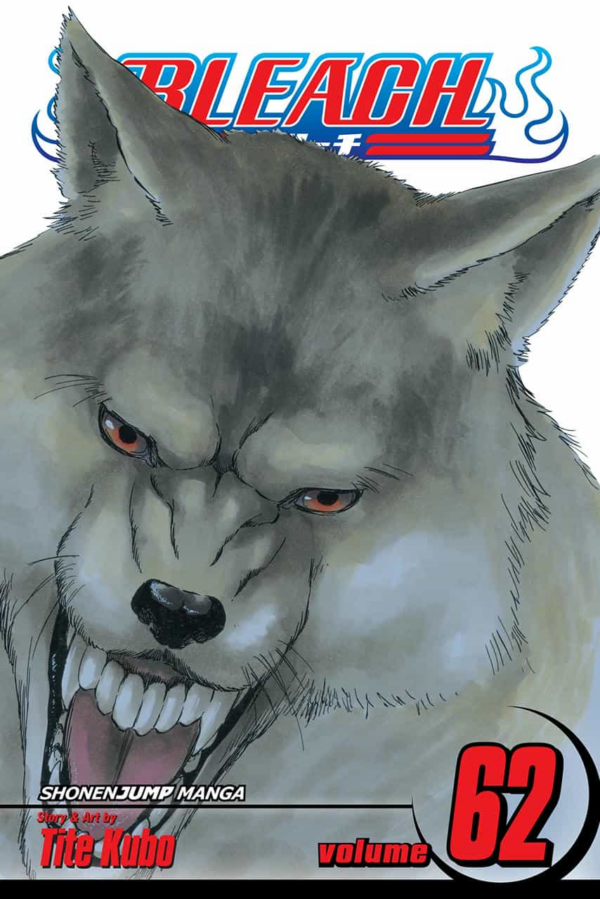 Bleach 62