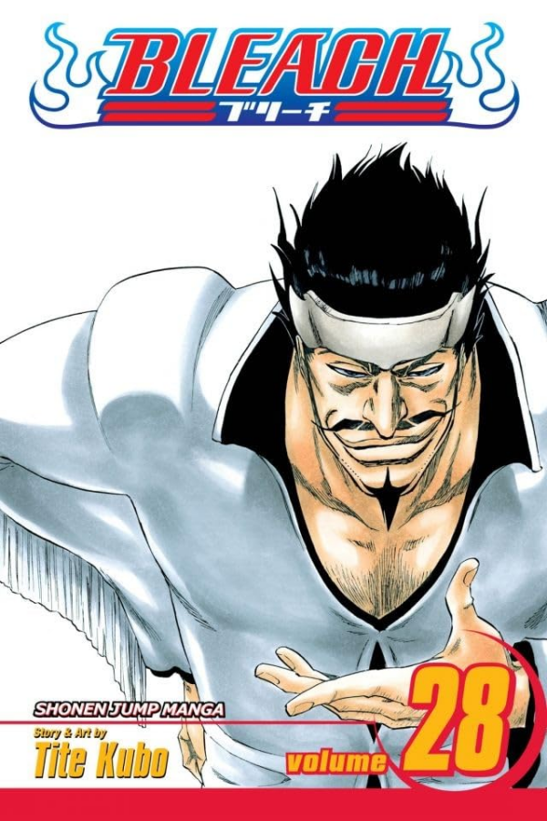 Bleach, Vol 28: Volume 28