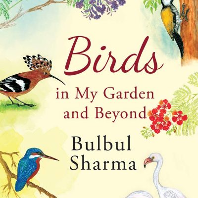 Birds In My Garden And Beyond