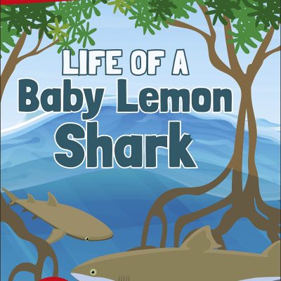 DK Super Readers Level 1 Life of a Baby Lemon Shark