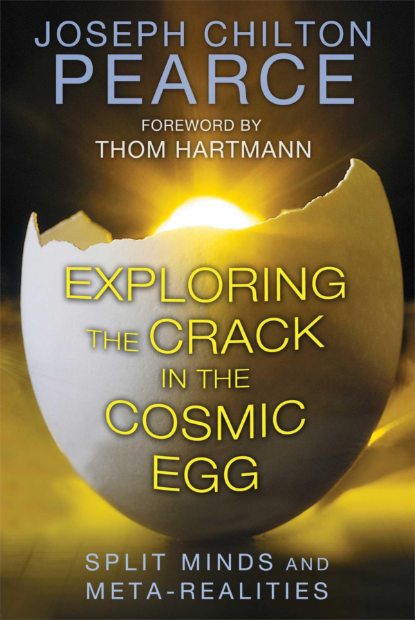 Exploring the Crack in the Cosmic Egg: Split Minds and MetaRealities