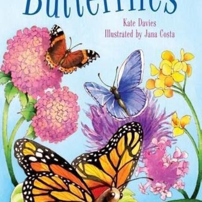 Butterflies