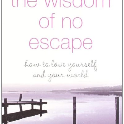 The Wisdom of No Escape