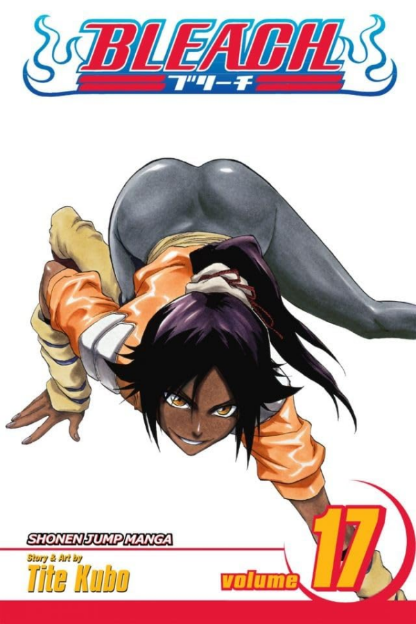 Bleach, Vol 17: Volume 17