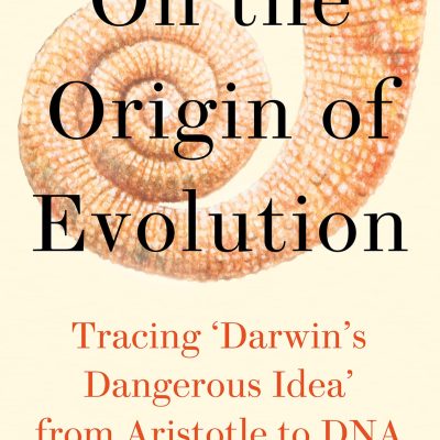 On the Origin of Evolution