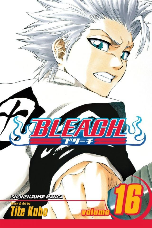 Bleach, Vol 16