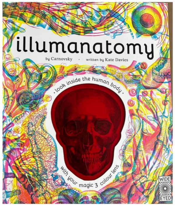 Illumanatomy