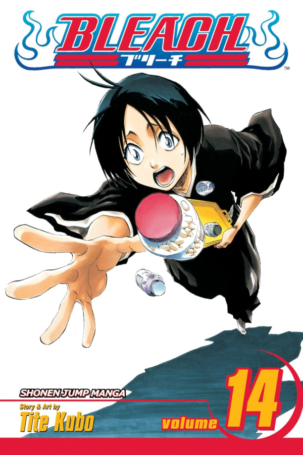 Bleach, Vol 14: Volume 14