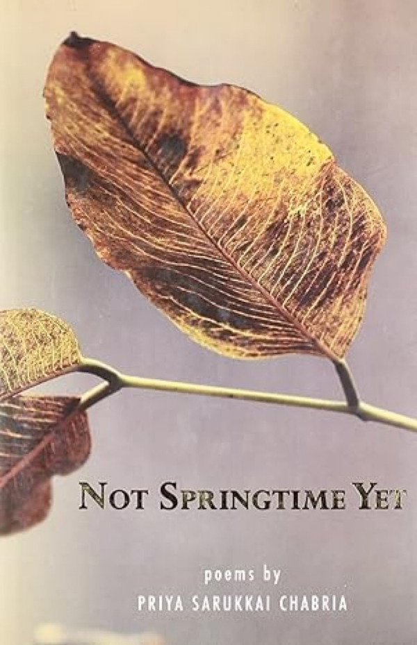 Not Springtime Yet