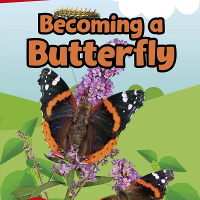 DK Super Readers Level 1 Becoming a Butterfly