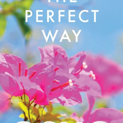 The Perfect Way : A Provocative Introduction to an Extraordinarily Ordinary Mans Vision for Humanity