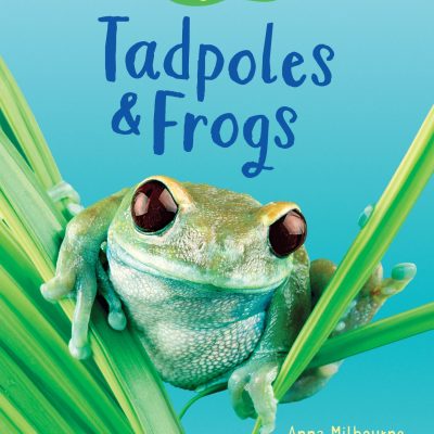 Tadpoles and Frogs