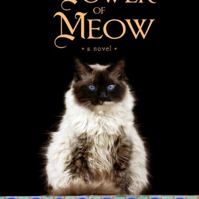 The Power Of Meow A Novel
