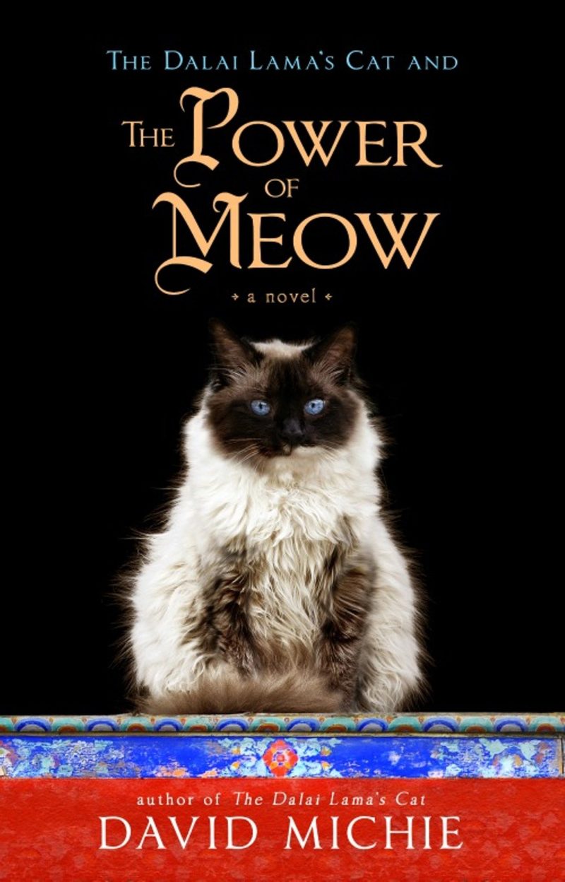 The Power Of Meow A Novel