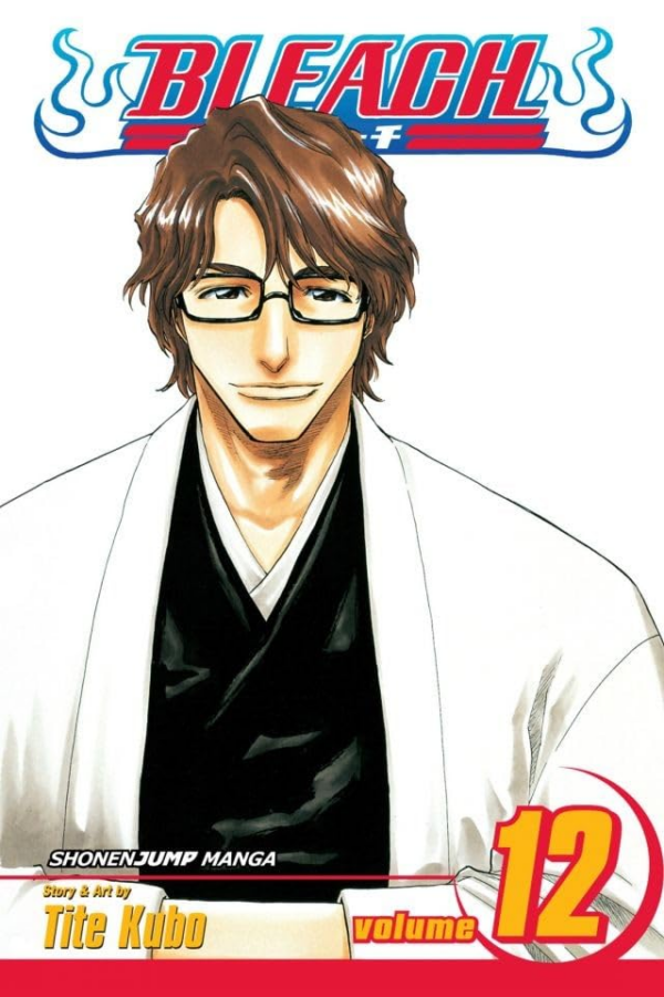 Bleach, Vol 12