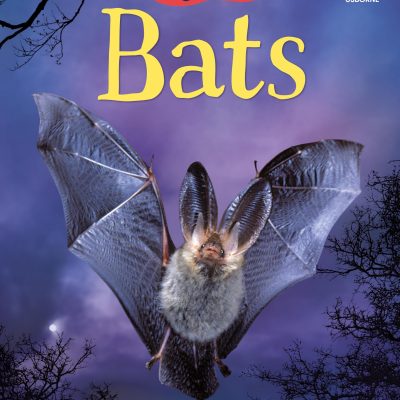Bats