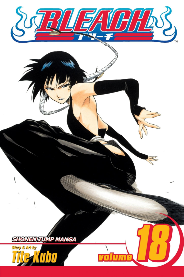 Bleach, Vol 18: Volume 18