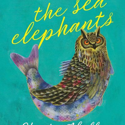 Sea Elephants
