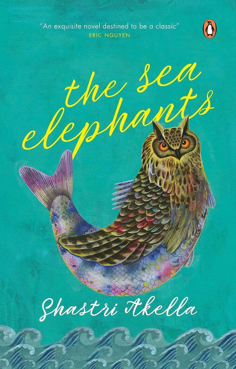 Sea Elephants