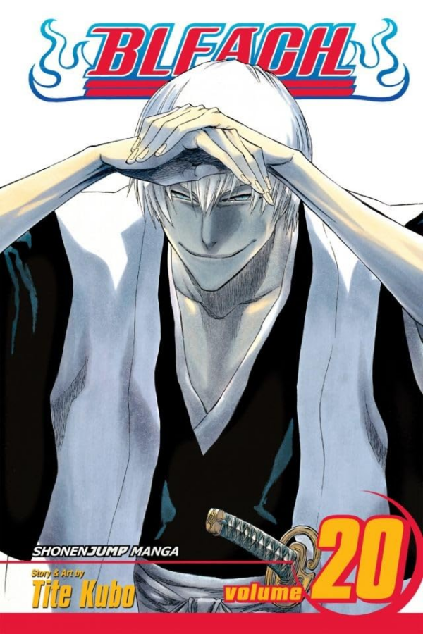 Bleach, Vol 20