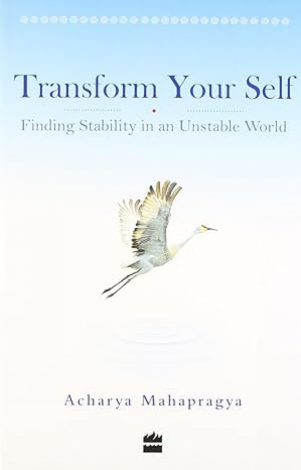 Transforming Your Self: Finding Stability in an Unstable World
