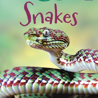 Snakes