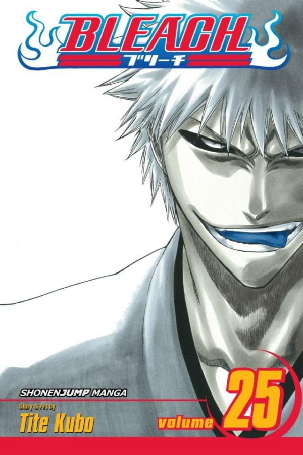 Bleach, Vol 25