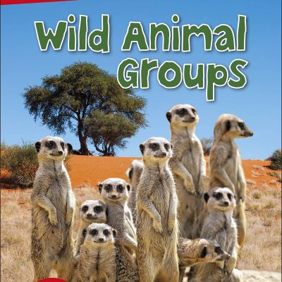DK Super Readers Level 3 Wild Animal Groups