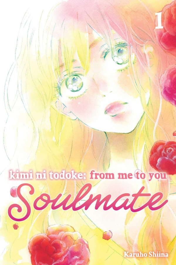 Kimi ni Todoke: From Me to You: Soulmate, Vol 1