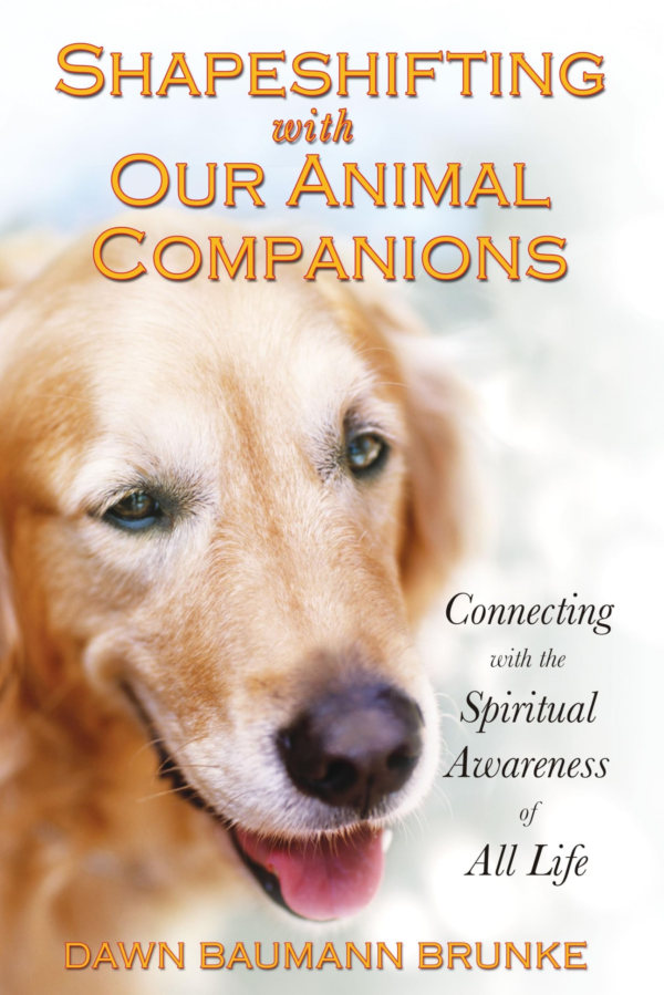 Shapeshifting with Our Animal Companions: Connecting with the Spiritual Awareness of All Life