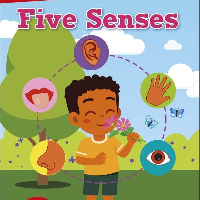 DK Super Readers PreLevel Five Senses