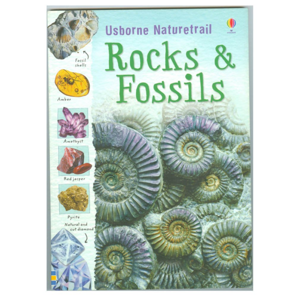 Rocks and Fossils