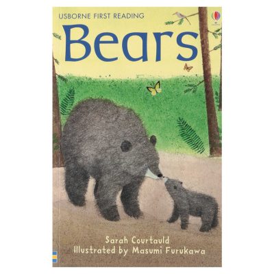 Ufr Level2 Bears