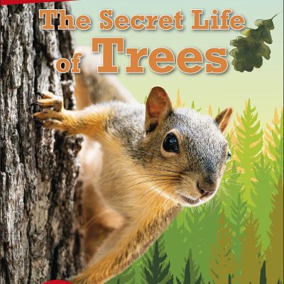 DK Super Readers Level 2 The Secret Life of Trees